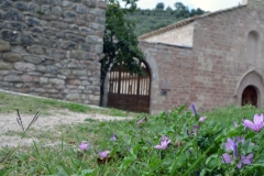 Assisi5