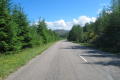 Road6