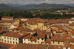 Lucca6